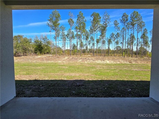 2645 N Annapolis Ave, Hernando, FL 34442 - photo 68
