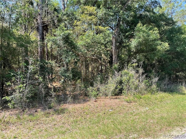 8244 W Basilico St, Crystal River, FL 34428