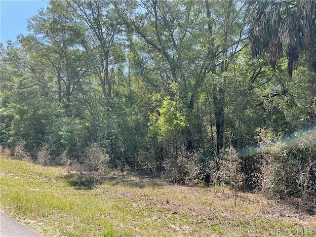8244 W Basilico St, Crystal River, FL 34428