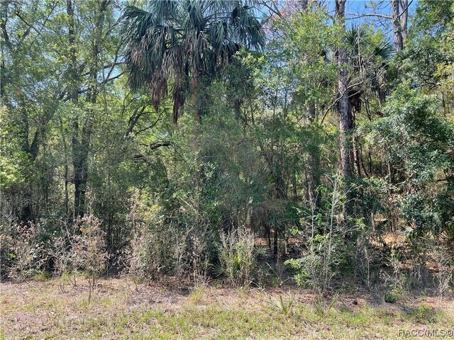 8244 W Basilico St, Crystal River, FL 34428