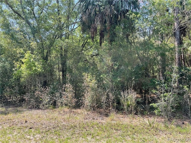 8244 W Basilico St, Crystal River, FL 34428