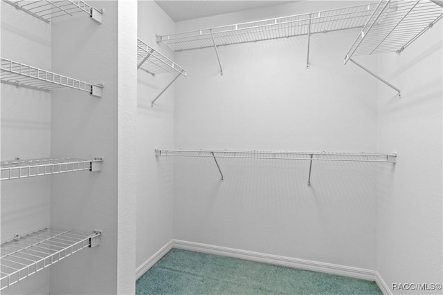 walk in closet featuring carpet