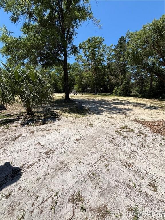 4101 E Gloria Dr, Hernando, FL 34442 - dock with a yard, a water view, and view of scattered trees