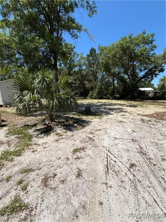 4101 E Gloria Dr, Hernando, FL 34442 - view of yard