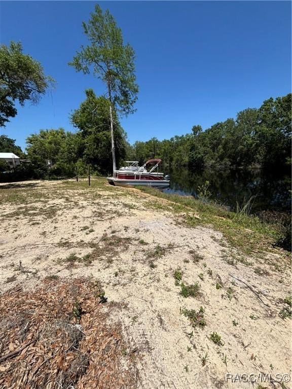 4101 E Gloria Dr, Hernando, FL 34442 - view of property's community featuring a forest view