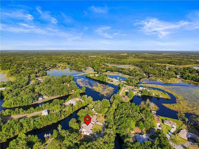 4101 E Gloria Dr, Hernando, FL 34442 - view of property location with a heavily wooded area and a large body of water