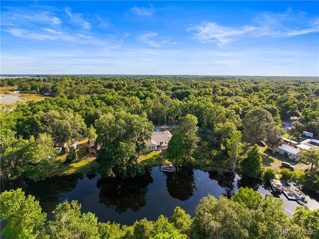 4101 E Gloria Dr, Hernando, FL 34442 - aerial overview of property's location with a heavily wooded area and a large body of water