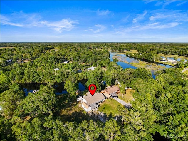 4101 E Gloria Dr, Hernando, FL 34442 - aerial view of property's location with a heavily wooded area and a large body of water