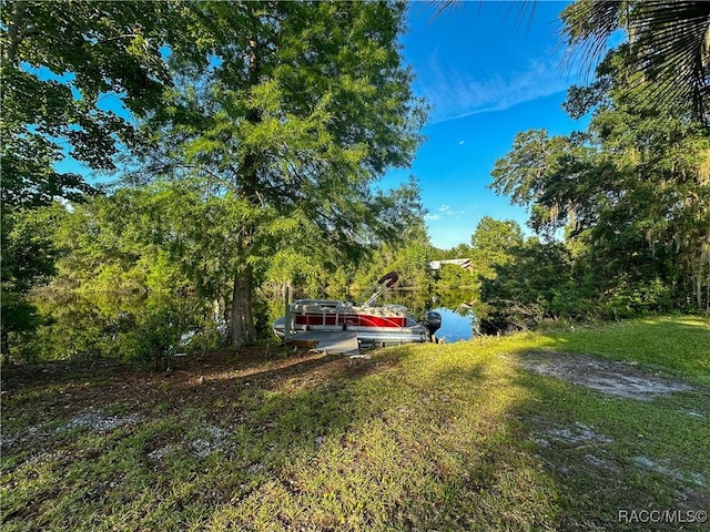 4101 E Gloria Dr, Hernando, FL 34442 - view of yard