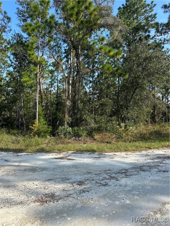 17444 Nighthawk Rd, Weeki Wachee FL, 34614 land for sale