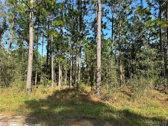 Listing photo 2 for 17444 Nighthawk Rd, Weeki Wachee FL 34614