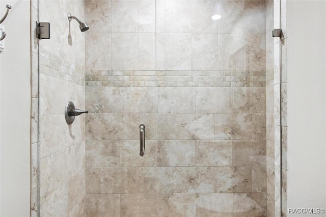 interior details featuring walk in shower