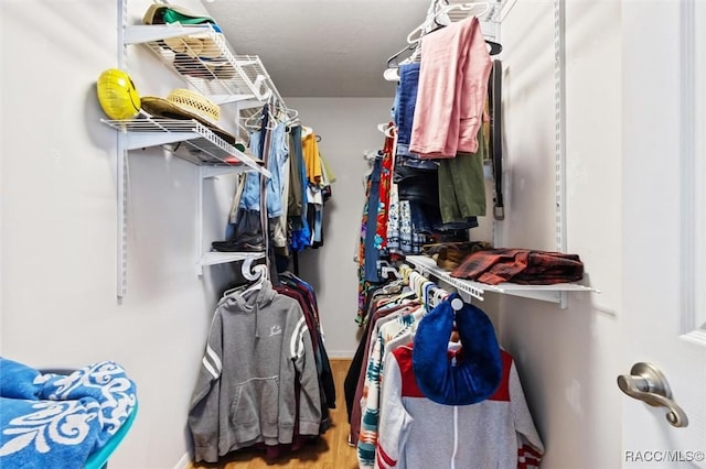 spacious closet with hardwood / wood-style flooring