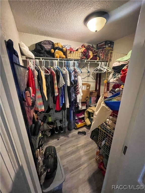 spacious closet with hardwood / wood-style floors