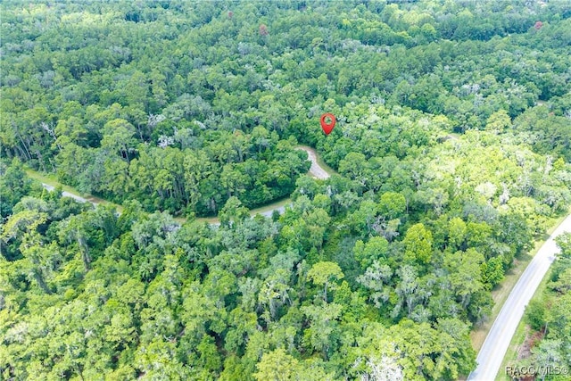 9870 N Sky Pt, Dunnellon, FL 34434