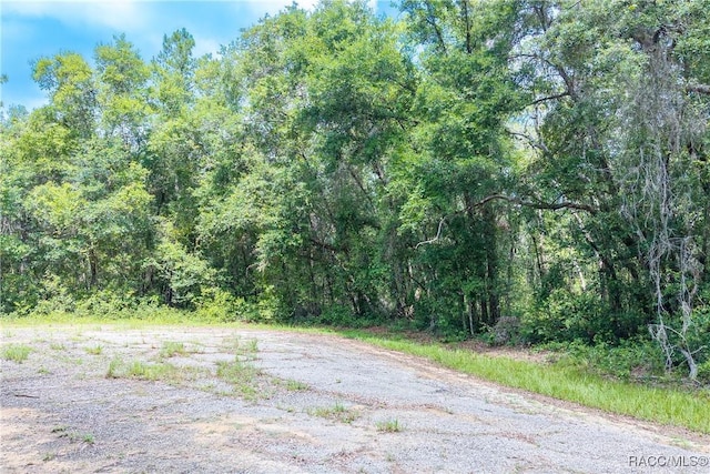 9870 N Sky Pt, Dunnellon, FL 34434