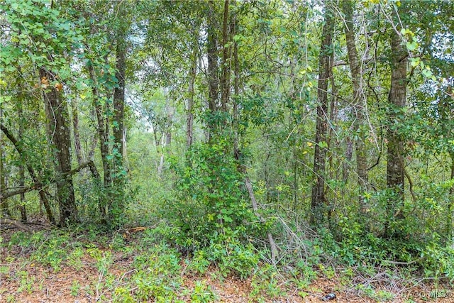 9870 N Sky Pt, Dunnellon, FL 34434