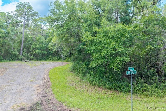 9870 N Sky Pt, Dunnellon, FL 34434