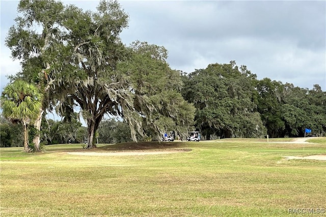 view of community with a lawn