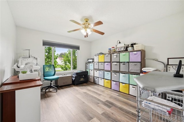 office featuring ceiling fan and light wood-type flooring