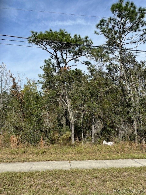 Listing photo 3 for 559 E Gulf To Lake Hwy, Lecanto FL 34461