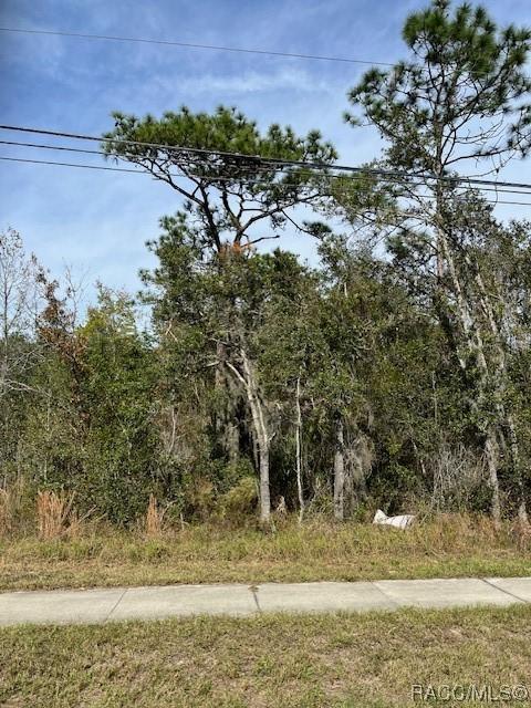 559 E Gulf To Lake Hwy, Lecanto, FL 34461 - photo 3