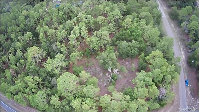 9223 N Bertin Dr, Citrus Springs, FL 34434