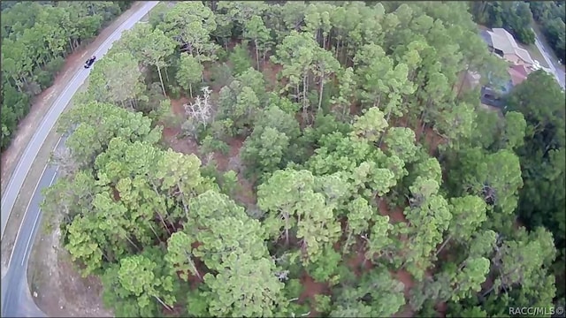 9223 N Bertin Dr, Citrus Springs, FL 34434