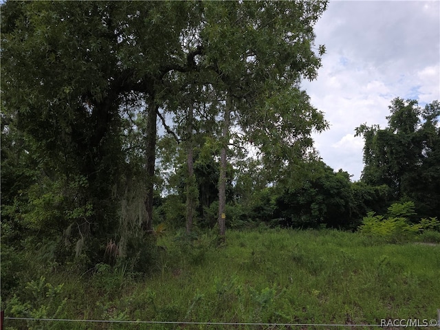 5896 W Pine Cir, Crystal River FL, 34429 land for sale