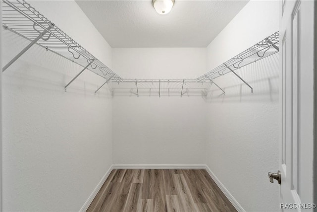 spacious closet featuring hardwood / wood-style floors