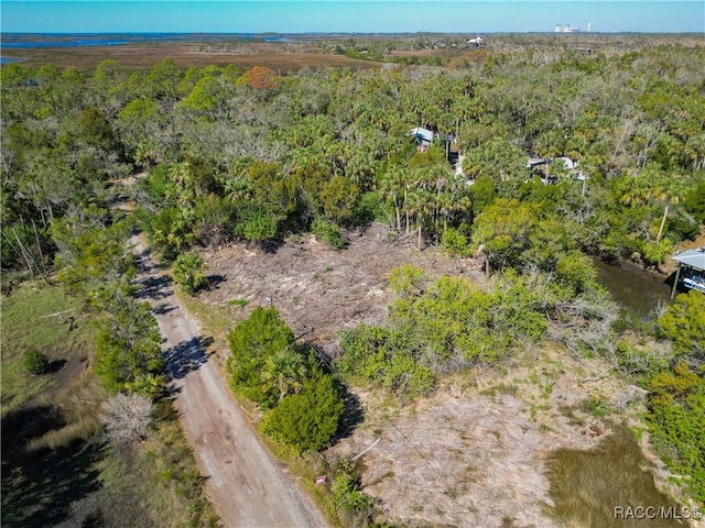 12193 W Bald Eagle Ct, Crystal River, FL 34429
