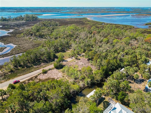 12193 W Bald Eagle Ct, Crystal River, FL 34429