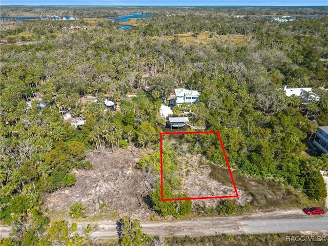 12193 W Bald Eagle Ct, Crystal River, FL 34429