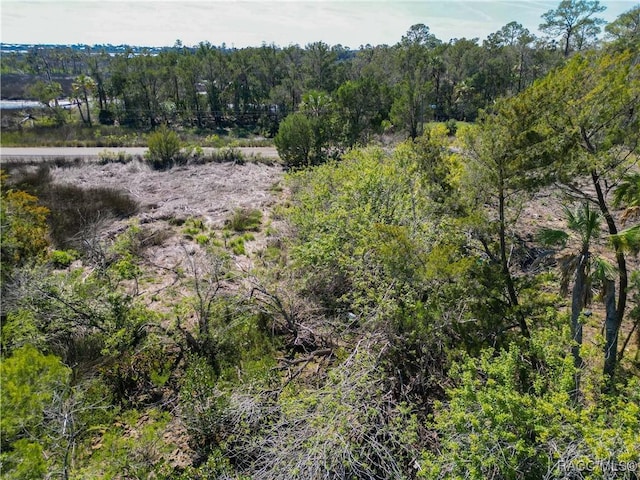 12193 W Bald Eagle Ct, Crystal River, FL 34429