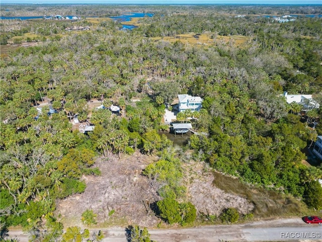 12193 W Bald Eagle Ct, Crystal River, FL 34429