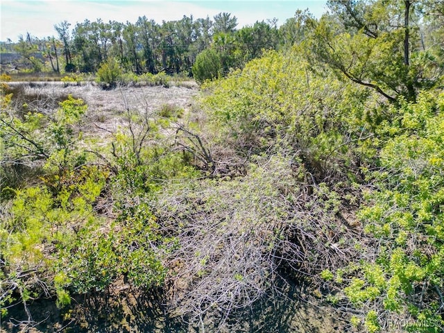 12193 W Bald Eagle Ct, Crystal River, FL 34429