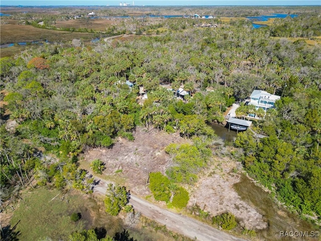 12193 W Bald Eagle Ct, Crystal River, FL 34429