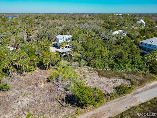 12193 W Bald Eagle Ct, Crystal River, FL 34429