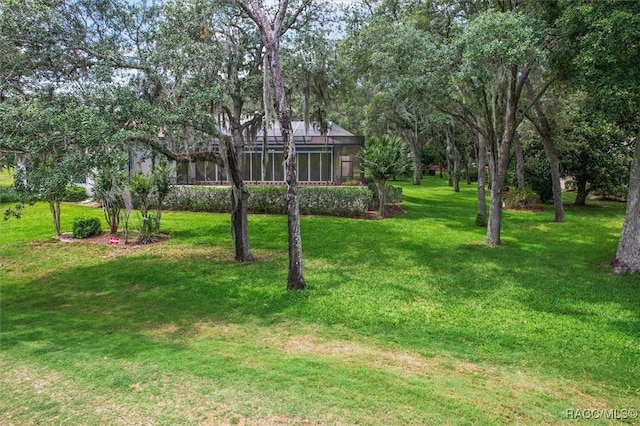 330 E Ireland Ct, Hernando, FL 34442 - view of green lawn