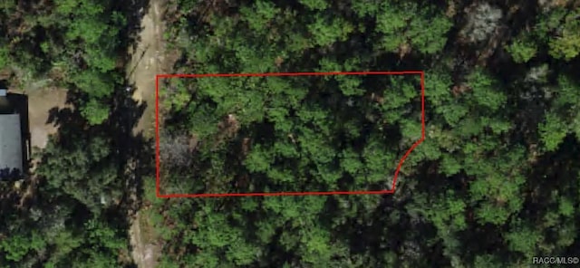 2795 N Dasher Pt, Crystal River FL, 34428 land for sale