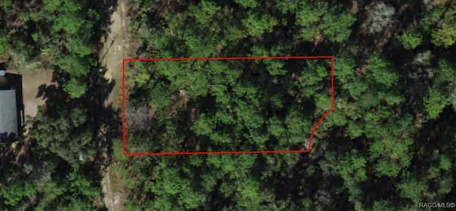 2795 N Dasher Pt, Crystal River, FL 34428 - photo 1