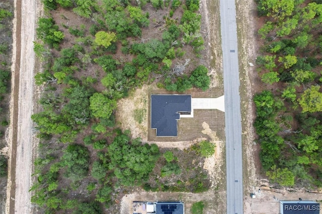 6613 N Bedstrow Blvd, Dunnellon, FL 34434 - aerial overview of property's location