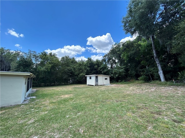 view of yard featuring a shed