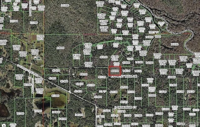 6321 E Forest Trail Dr, Hernando FL, 34442 land for sale