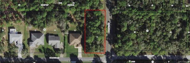 2895 E Marcia St, Inverness FL, 34453 land for sale