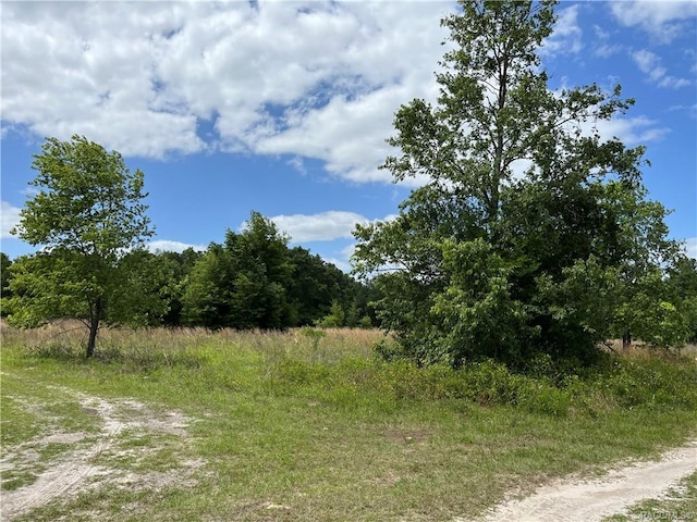 2302 Harrison St, Inverness, FL 34453 - photo 3