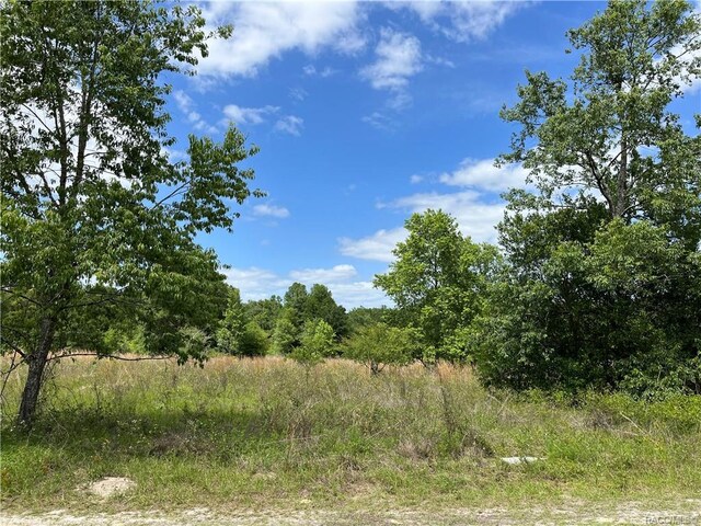 2302 Harrison St, Inverness, FL 34453 - photo 4