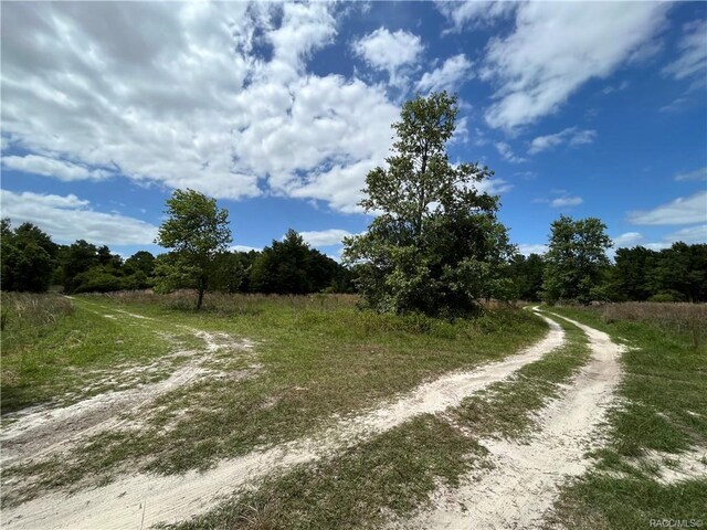 2302 Harrison St, Inverness, FL 34453 - photo 2