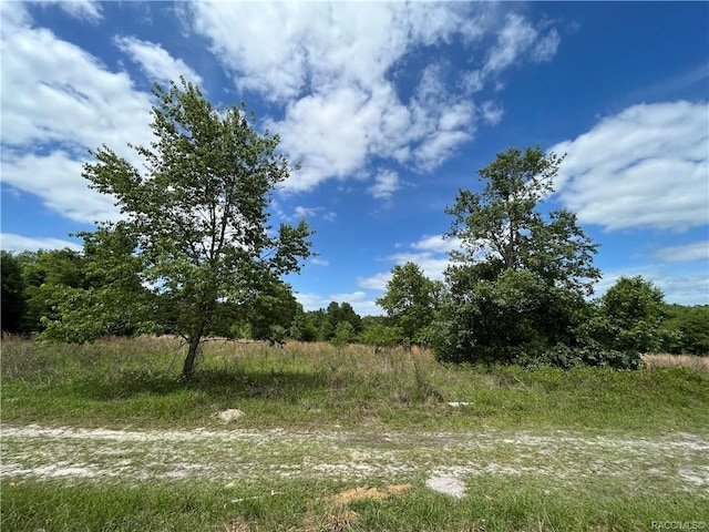 2302 Harrison St, Inverness, FL 34453 - photo 5