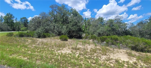 11250 N Ely Pt, Citrus Springs, FL 34433 - photo 3